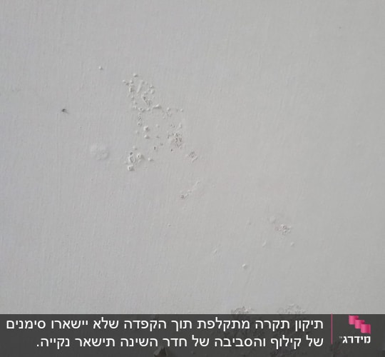 קיר עם קילופי צבע ותיקונים נדרשים